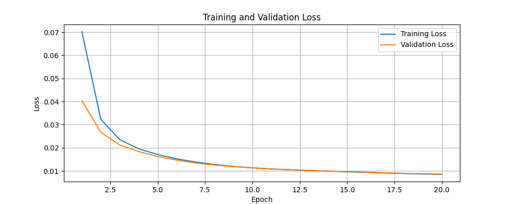 Train and Validation Loss